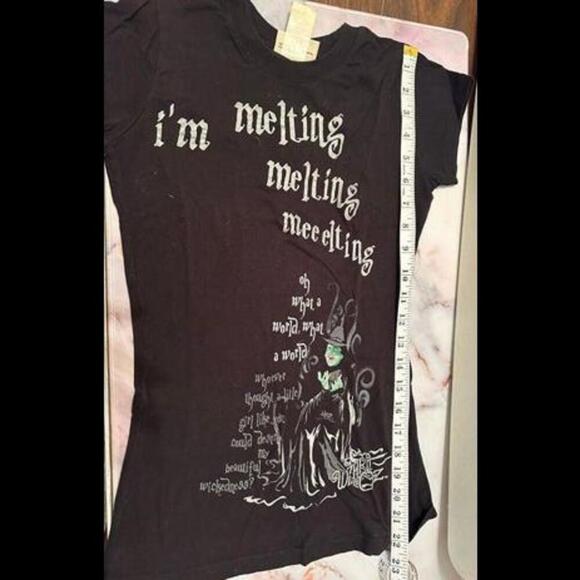 Iconic Melting Moment: Wizard of Oz 'I'm Melting' Black T-Shirt - Picture 1 of 5